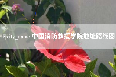 大竹中国消防救援学院地址路线图