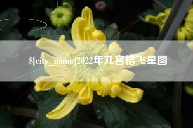 大竹2022年九宫格飞星图