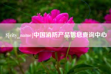 大竹中国消防产品信息查询中心