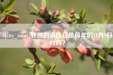 大竹我国的消防日是每年的11月9日对吗？