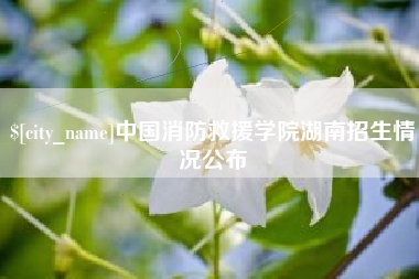 大竹中国消防救援学院湖南招生情况公布
