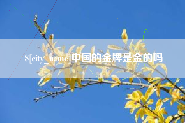 大竹中国的金牌是金的吗