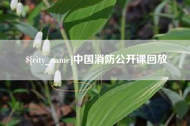 大竹中国消防公开课回放
