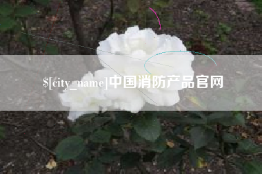 大竹中国消防产品官网