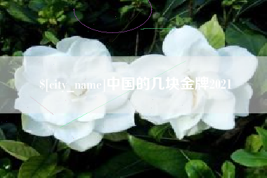 大竹中国的几块金牌2021
