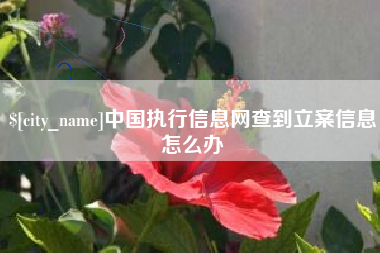 大竹中国执行信息网查到立案信息怎么办