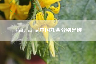 大竹中国九金分别是谁
