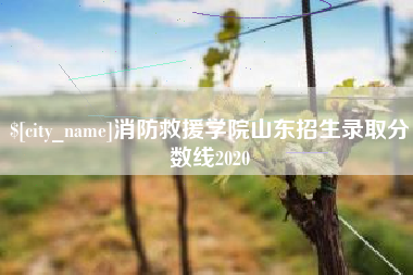 大竹消防救援学院山东招生录取分数线2020
