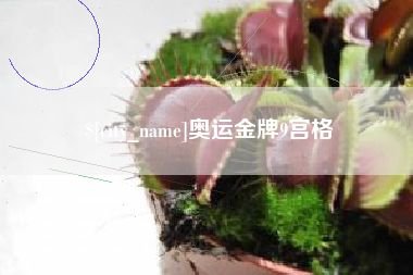 大竹奥运金牌9宫格