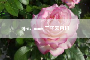 大竹王子豪百科