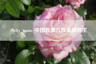 大竹中国有哪几枚金牌得主