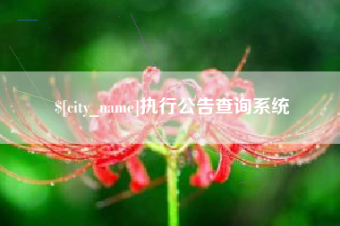 大竹执行公告查询系统