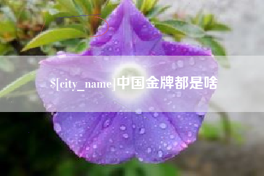 大竹中国金牌都是啥