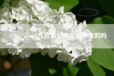 大竹九宫星位是定位不变的吗