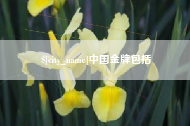 大竹中国金牌包括