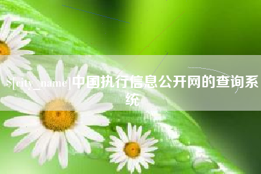 大竹中国执行信息公开网的查询系统