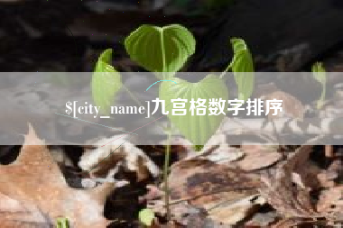 大竹九宫格数字排序