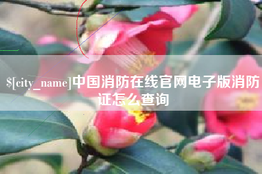 大竹中国消防在线官网电子版消防证怎么查询