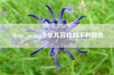 大竹今年九宫格的不利颜色