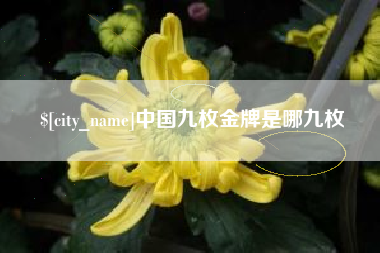 大竹中国九枚金牌是哪九枚