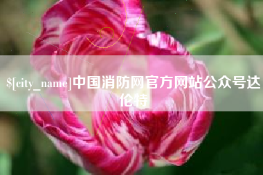 大竹中国消防网官方网站公众号达伦特