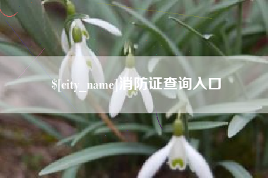 大竹消防证查询入口