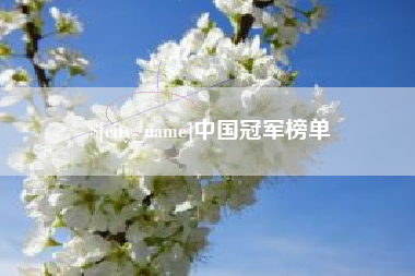 大竹中国冠军榜单