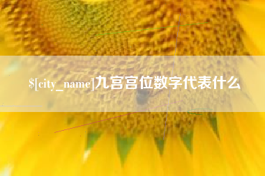 大竹九宫宫位数字代表什么