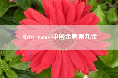 大竹中国金牌第九金