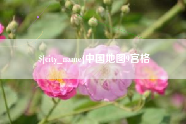 大竹中国地图9宫格
