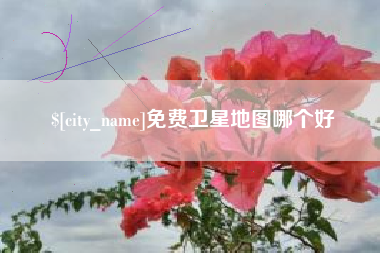 大竹免费卫星地图哪个好