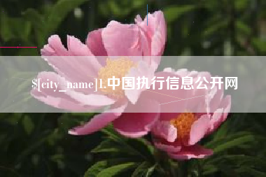 大竹1.中国执行信息公开网