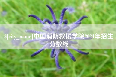 大竹中国消防救援学院2024年招生分数线