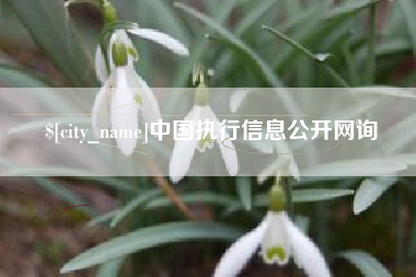 大竹中国执行信息公开网询
