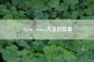 大竹九宫的位置