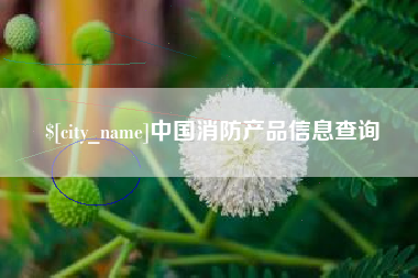 大竹中国消防产品信息查询