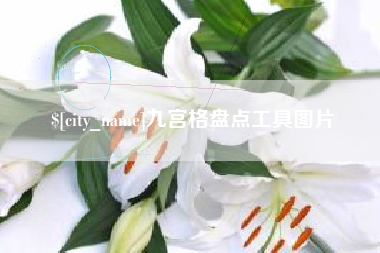 大竹九宫格盘点工具图片