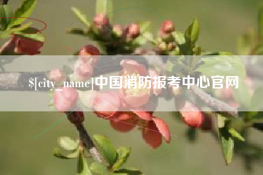 大竹中国消防报考中心官网