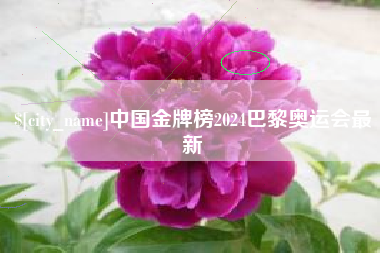 大竹中国金牌榜2024巴黎奥运会最新