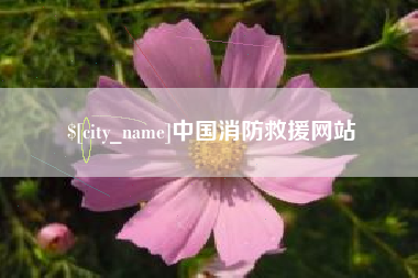 大竹中国消防救援网站