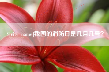 大竹我国的消防日是几月几号？