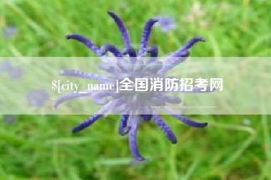 大竹全国消防招考网
