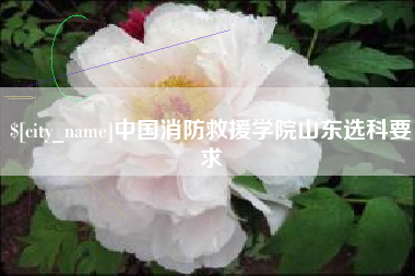 大竹中国消防救援学院山东选科要求