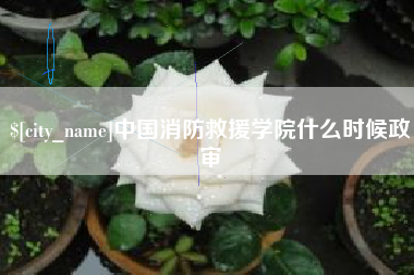 大竹中国消防救援学院什么时候政审