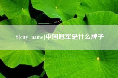 大竹中国冠军是什么牌子