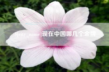 大竹现在中国哪几个金牌