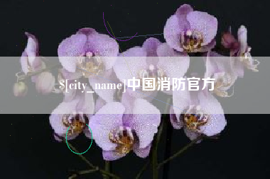 大竹中国消防官方