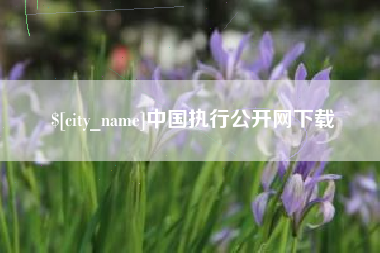 大竹中国执行公开网下载