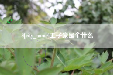 大竹王子豪是个什么