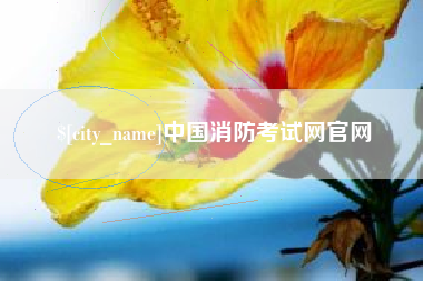 大竹中国消防考试网官网